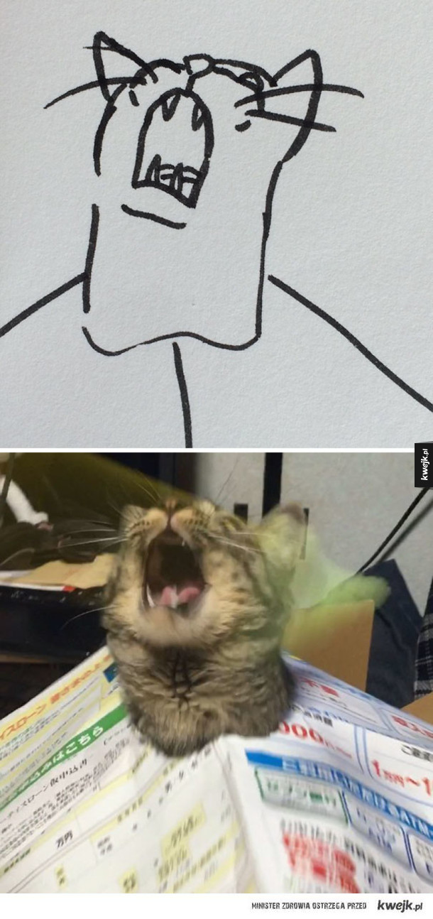 100% realistyczne rysunki kotów