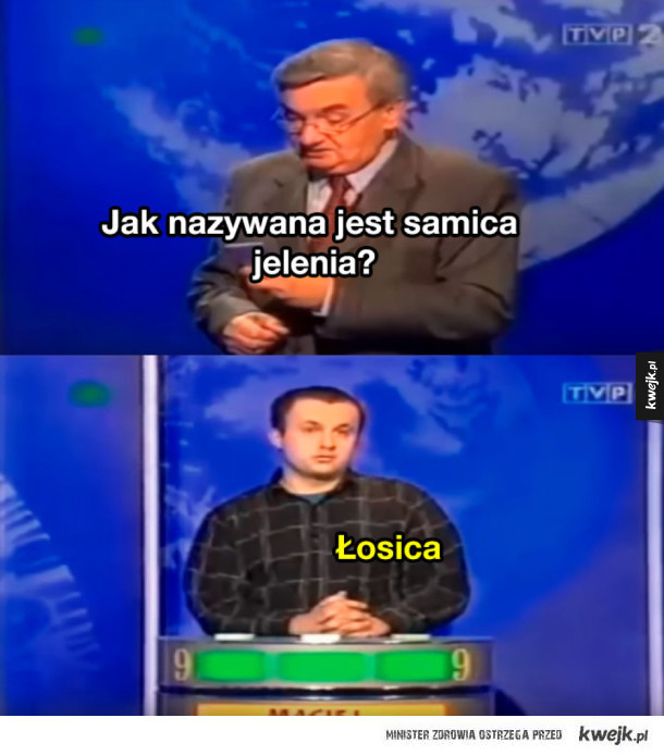Wpadki w polskich teleturniejach
