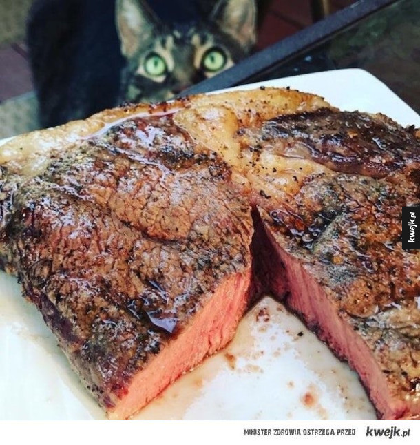Znajdź kogoś, kto będzie patrzeć na ciebie tak, jak te zwierzaki patrzą na jedzenie