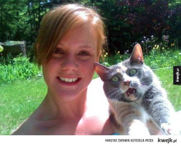 Koty, które gardzą głupimi selfie swoich właścicieli