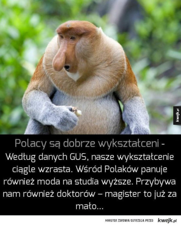 Ciekawostki o Polsce, których mogłeś nie znać