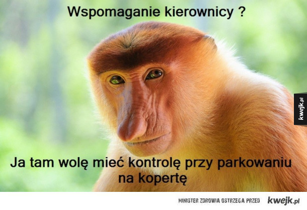 Wspomaganie