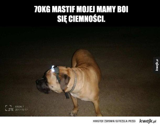 Problem rozwiązany!