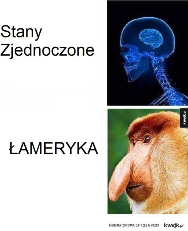 #Nosacz #Mem #ŁAMERYKA