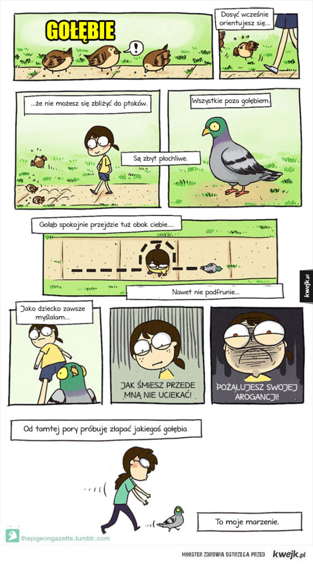 Komiksy Pigeon Gazette, dla ludzi lekko nieprzystosowanych społecznie