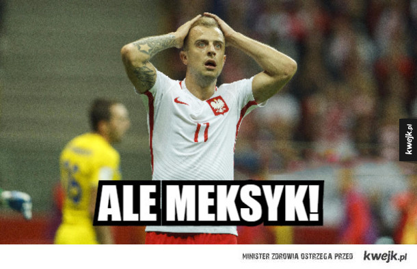 Polska vs Meksyk - memy po meczu
