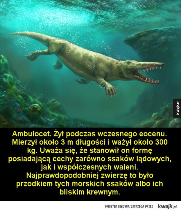 Najdziwniejsze prehistoryczne zwierzęta