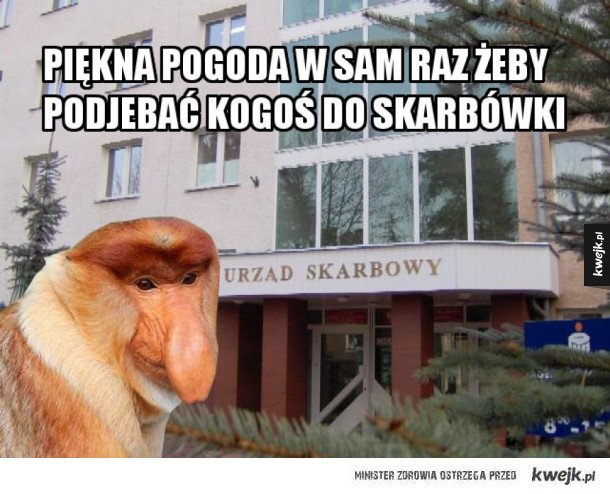 uważaj somsiad