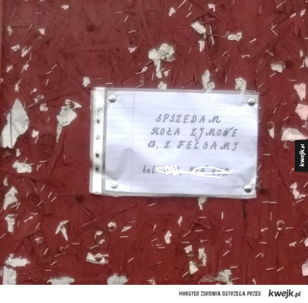 kalygraf analfabeta