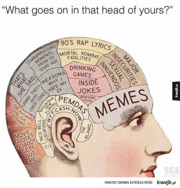 Memy życiem 