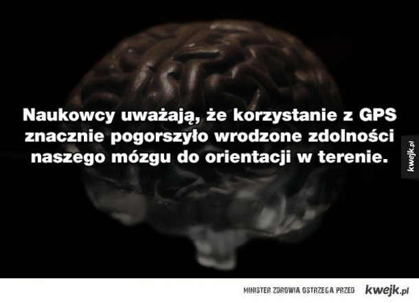 20 ciekawostek o mózgu