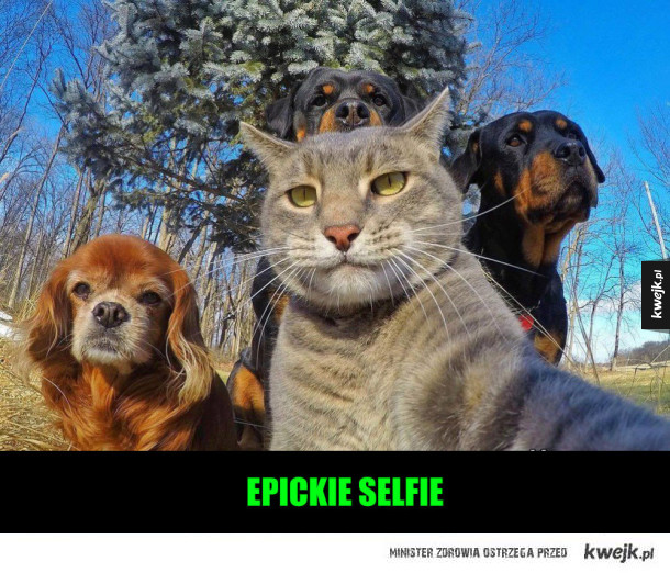 selfie