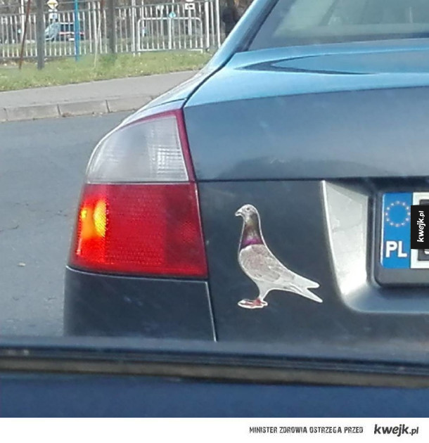 Drapieżny jak jaszczomp