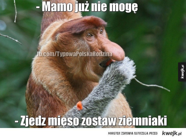 Nosacz