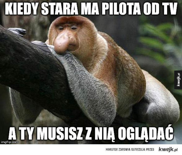 Telewizornia