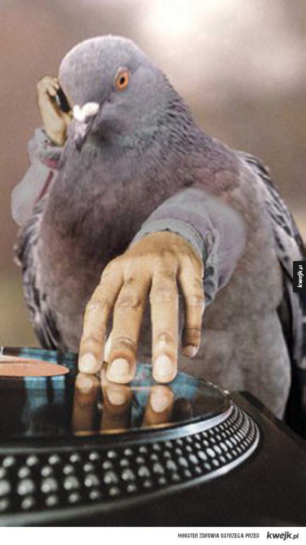 Gdyby ptaki miały ludzkie ręce