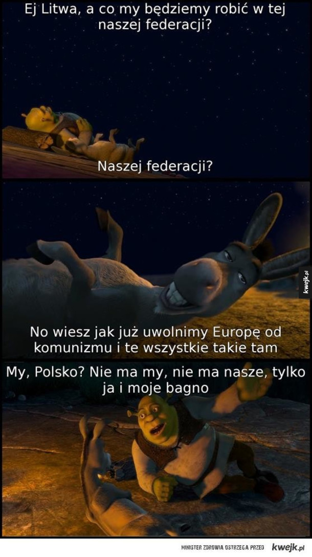 Polskie bagno