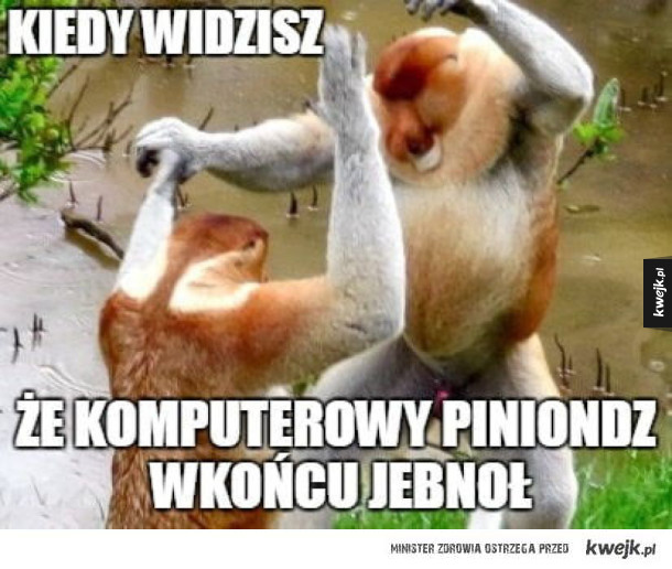 Radość Januszy