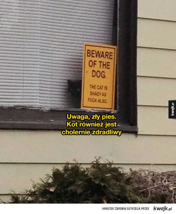 Uwaga, zły pies