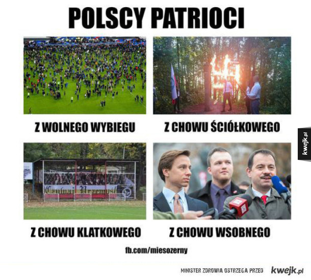 Polscy patrioci