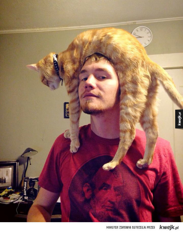 Koty zamiast czapek