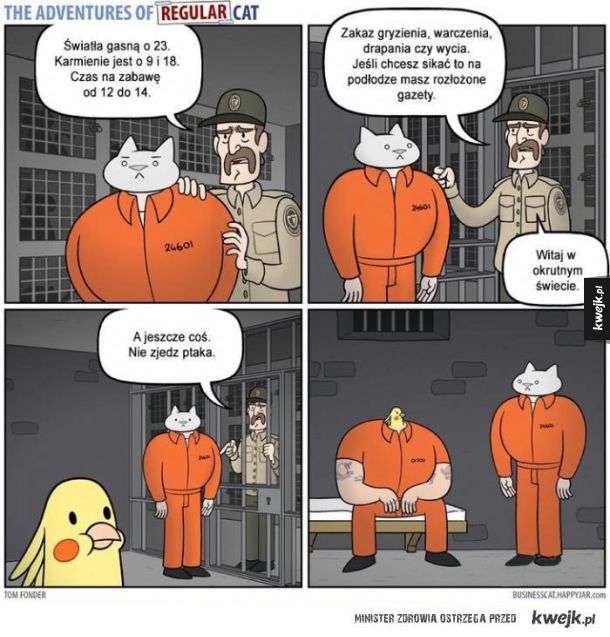 Biznesowy kot w więzieniu