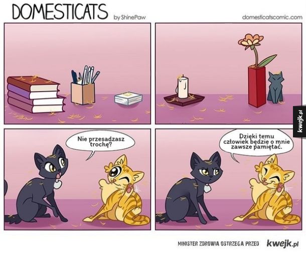 Życie z kotem w komiksach Domesticats