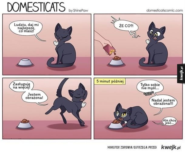 Życie z kotem w komiksach Domesticats