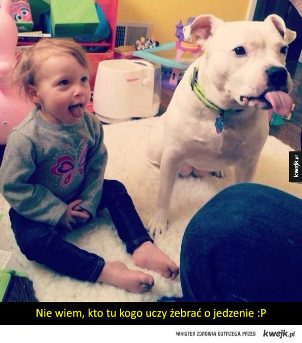 Dzieci i psy to najsłodsze połączenie