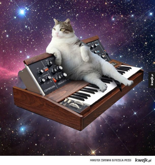 Koty na syntezatorach w kosmosie