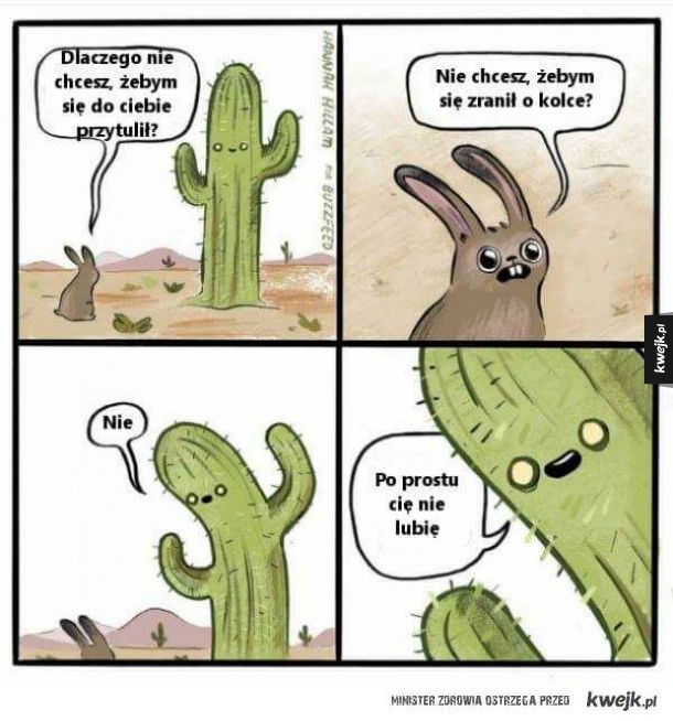 Pan Kaktus