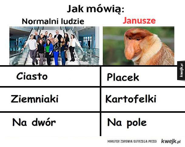 Januszowy słownik