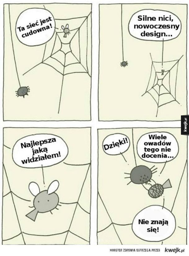 U pająka na obiedzie