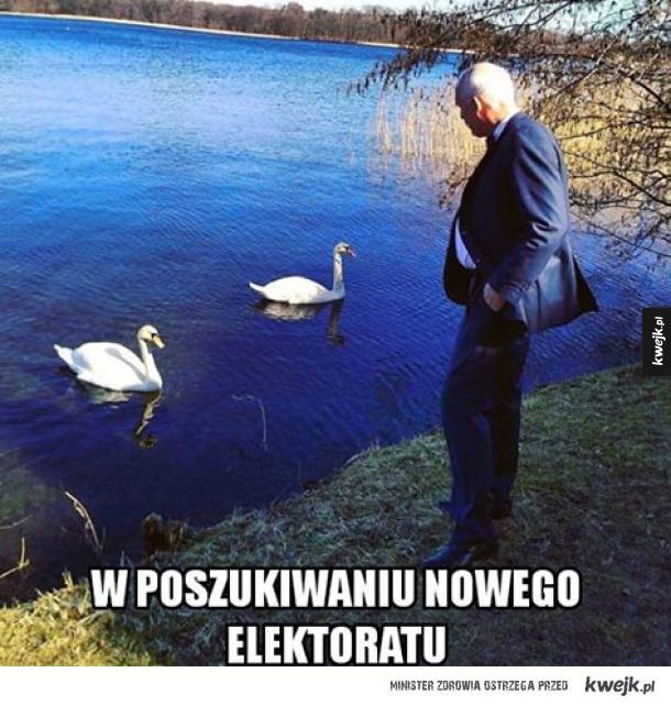 Janusz szuka wyborców