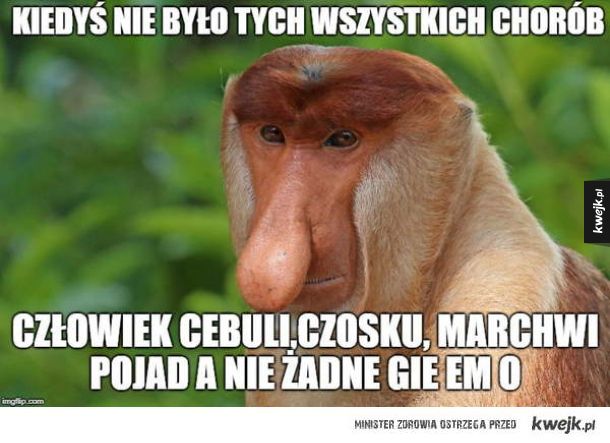 Memy o Polakach