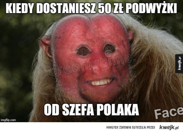 Memy z nosaczami sundajskimi, pośmiejmy się też z Ukraińców zamieszkałych w Polsce