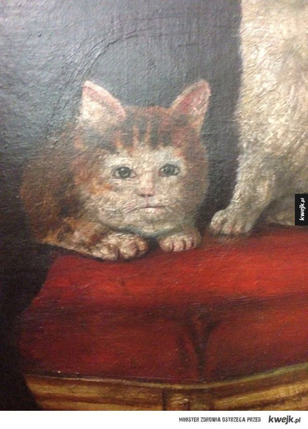 Dziwnie namalowane koty