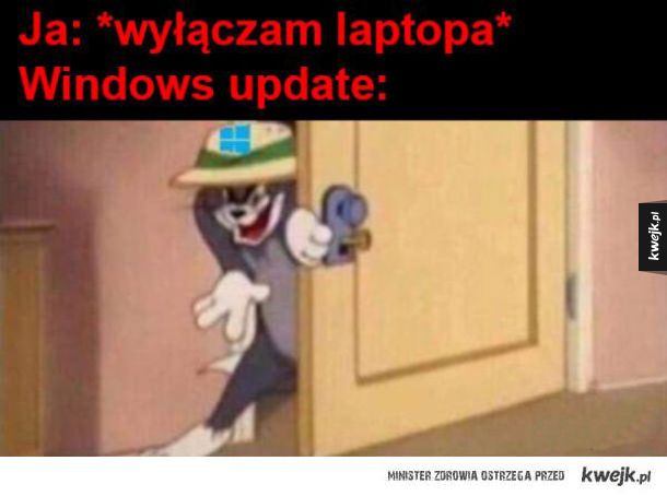 Windows taki jest