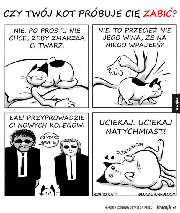 Prawdziwe życie z kotem w komiksach Lucasa Turnblooma