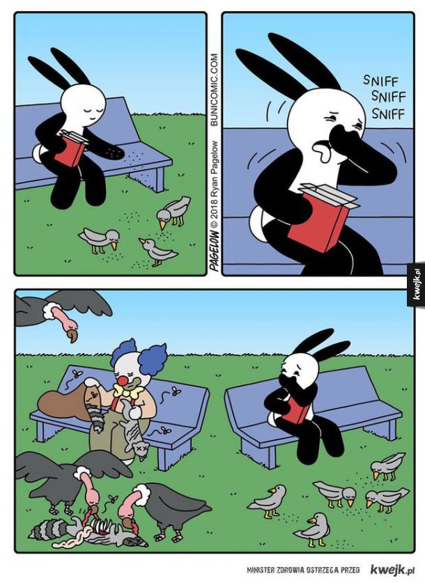 Karmienie ptaków
