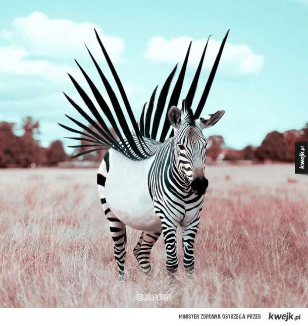 Francuski artysta fantastycznie przerabia zdjęcia zwierząt w Photoshopie!