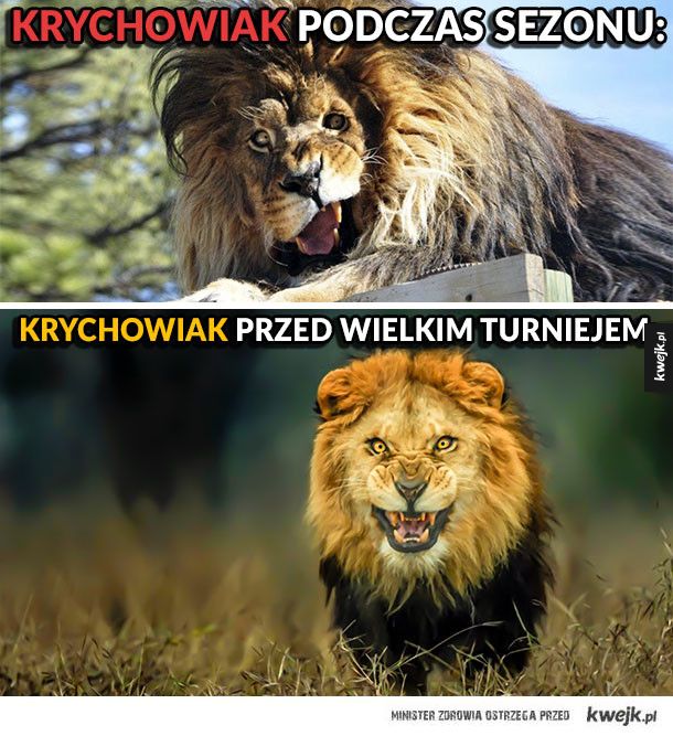 Memy po meczu Polska vs Litwa