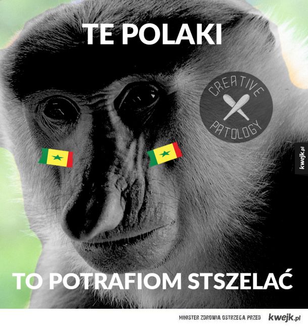 Polska Senegal