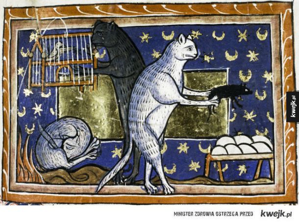 Brzydkie średniowieczne kotki i pieski