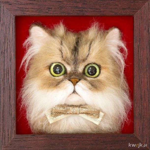 Dziwnie realistyczne portrety kotów autorstwa Wakuneco