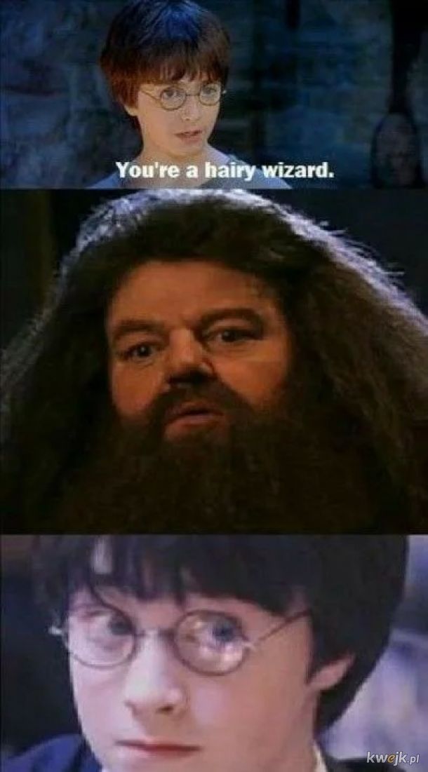 Hagrid Pota