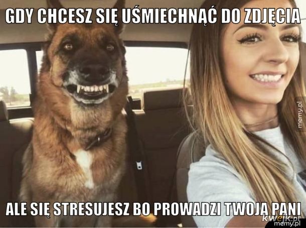 Uśmiechnięty pies :D