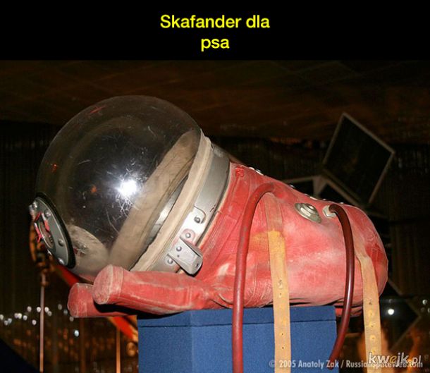Fotografie z poligonu Kapustin Jar, z którego na orbitę wystrzelono psich kosmonautów