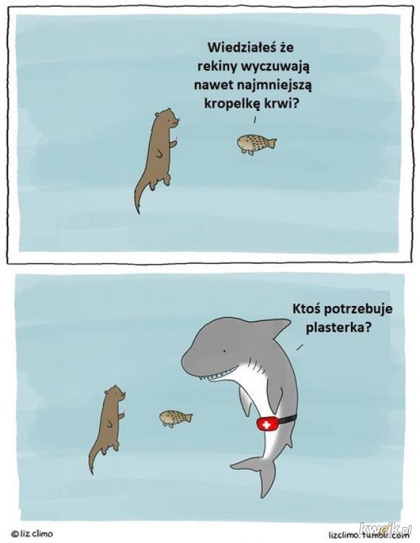 Idealny węch rekinów