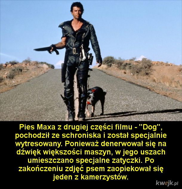 Ciekawostki o filmowej serii Mad Max